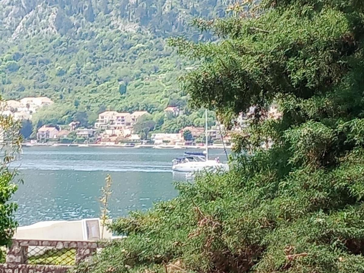 Navigator's Appartement Kotor