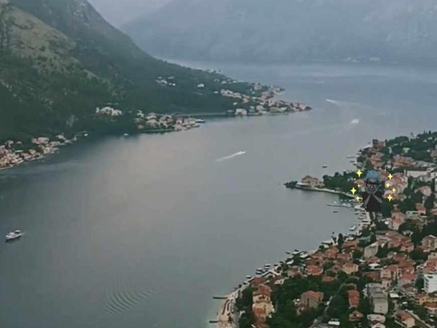 Navigator's * Kotor